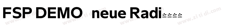 FSP DEMO   neue Radi字体转换